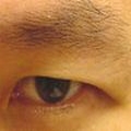 写真を拡大